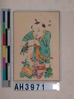 藏品(瓜蝶)的圖片